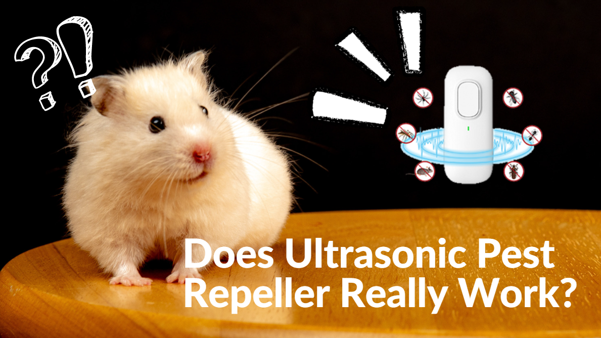 Does Ultrasonic Pest Repeller Really Work